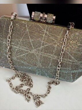 Sondra Roberts Silver Clutch with Chain